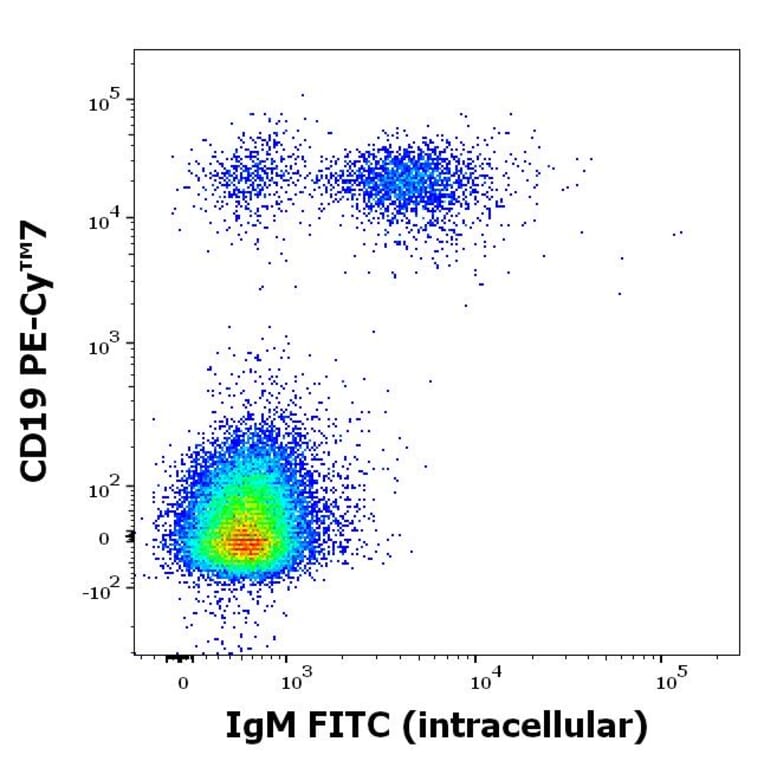 Flow Cytometry - Anti-Human IgM Fc Antibody [CH2] (FITC) (A86809)