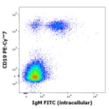 Flow Cytometry - Anti-Human IgM Fc Antibody [CH2] (FITC) (A86809)