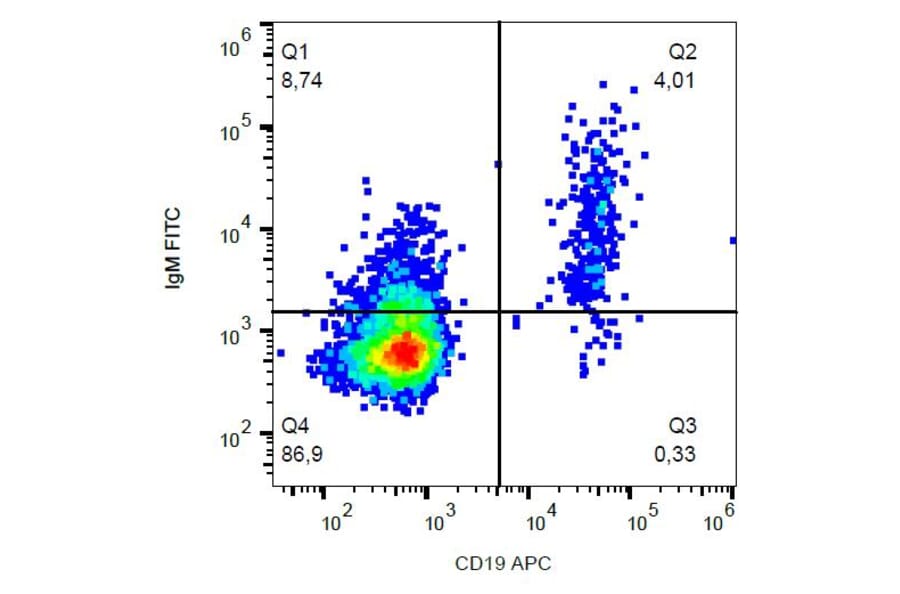 Flow Cytometry - Anti-Human IgM Antibody [CH2] (FITC) (A86807) - Antibodies.com