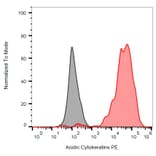 Flow Cytometry - Anti-Acidic Cytokeratin Antibody [AE1] (PE) (A86809) - Antibodies.com