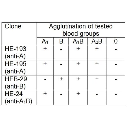 AGG - Anti-Blood Group A Antigen Antibody [HE-195] (A86812)