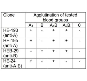 AGG - Anti-Blood Group B Antigen Antibody [HEB-29] (A86816)
