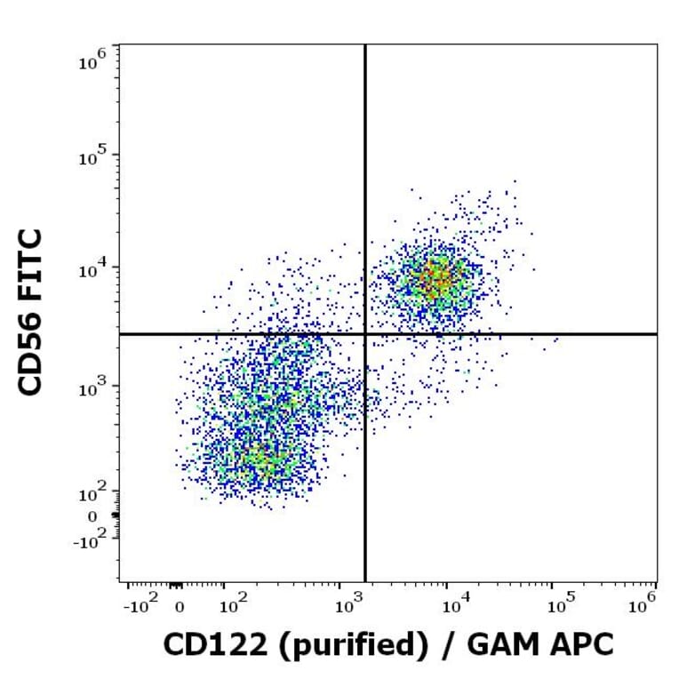 Flow Cytometry - Anti-IL2 Receptor beta/p75 Antibody [TU27] (A86823)