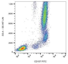 Flow Cytometry - Anti-CD157 Antibody [SY11B5] (FITC) (A86829) - Antibodies.com