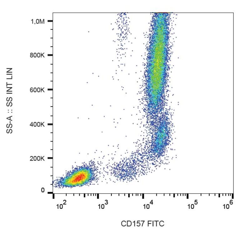 Flow Cytometry - Anti-CD157 Antibody [SY11B5] (FITC) (A86829) - Antibodies.com