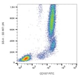 Flow Cytometry - Anti-CD157 Antibody [SY11B5] (FITC) (A86829) - Antibodies.com