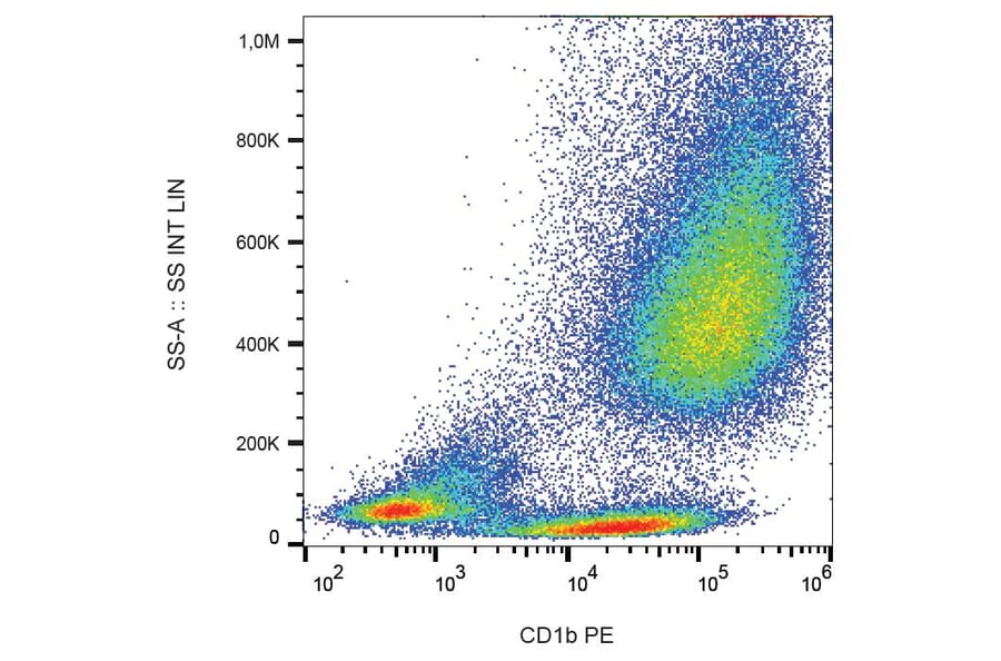 Flow Cytometry - Anti-CD1b Antibody [SN13] (PE) (A86832) - Antibodies.com