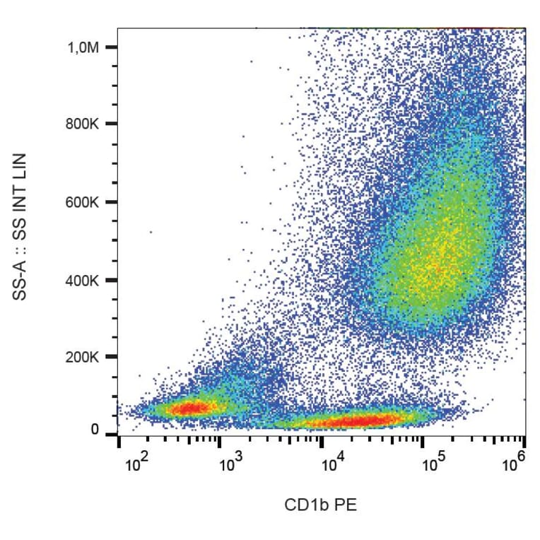 Flow Cytometry - Anti-CD1b Antibody [SN13] (PE) (A86832) - Antibodies.com