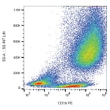 Flow Cytometry - Anti-CD1b Antibody [SN13] (PE) (A86832) - Antibodies.com