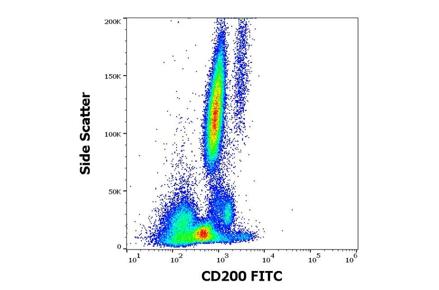 Flow Cytometry - Anti-CD200/OX2 Antibody [OX-104] (FITC) (A86835)