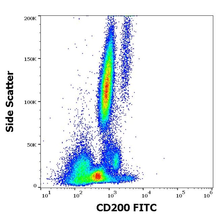 Flow Cytometry - Anti-CD200/OX2 Antibody [OX-104] (FITC) (A86835)