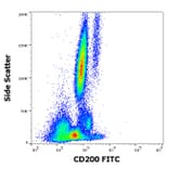 Flow Cytometry - Anti-CD200/OX2 Antibody [OX-104] (FITC) (A86835)