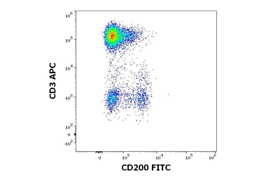 Flow Cytometry - Anti-CD200/OX2 Antibody [OX-104] (FITC) (A86835)