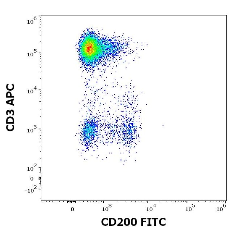 Flow Cytometry - Anti-CD200/OX2 Antibody [OX-104] (FITC) (A86835)
