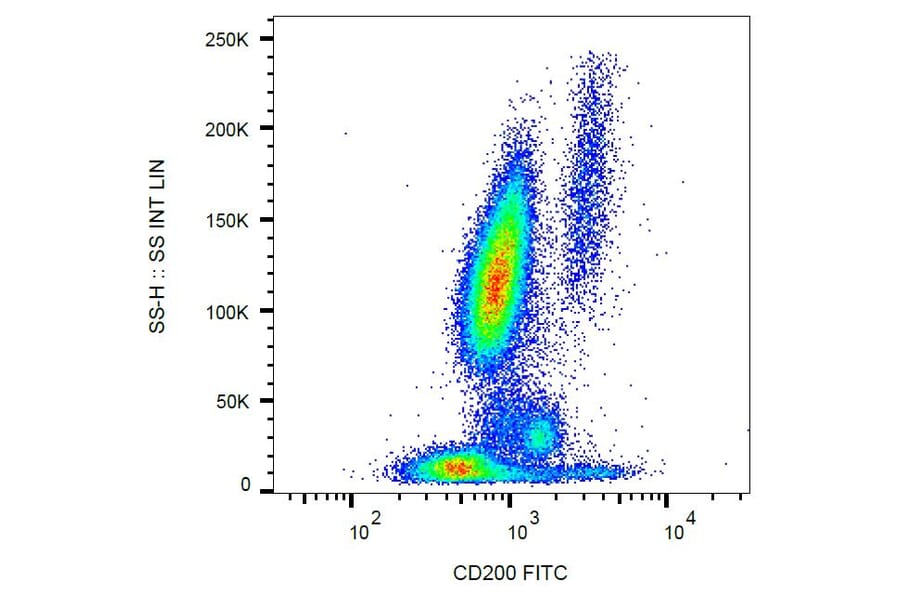 Flow Cytometry - Anti-CD200 Antibody [OX-104] (FITC) (A86834) - Antibodies.com