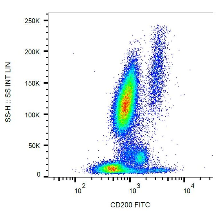 Flow Cytometry - Anti-CD200 Antibody [OX-104] (FITC) (A86834) - Antibodies.com