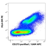 Flow Cytometry - Anti-PD-L2 Antibody [24F.10C12] (A86840)