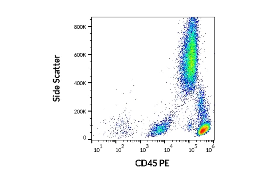Flow Cytometry - Anti-CD45 Antibody [2D1] (PE) (A86850)
