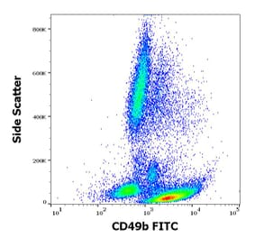 Flow Cytometry - Anti-Integrin alpha 2 Antibody [AK7] (FITC) (A86852)