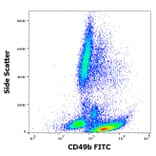 Flow Cytometry - Anti-Integrin alpha 2 Antibody [AK7] (FITC) (A86852)