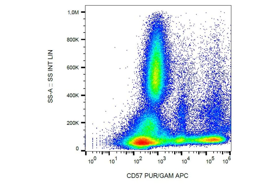 Flow Cytometry - Anti-CD57 Antibody [TB01] (A86858)