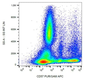 Flow Cytometry - Anti-CD57 Antibody [TB01] (A86857) - Antibodies.com