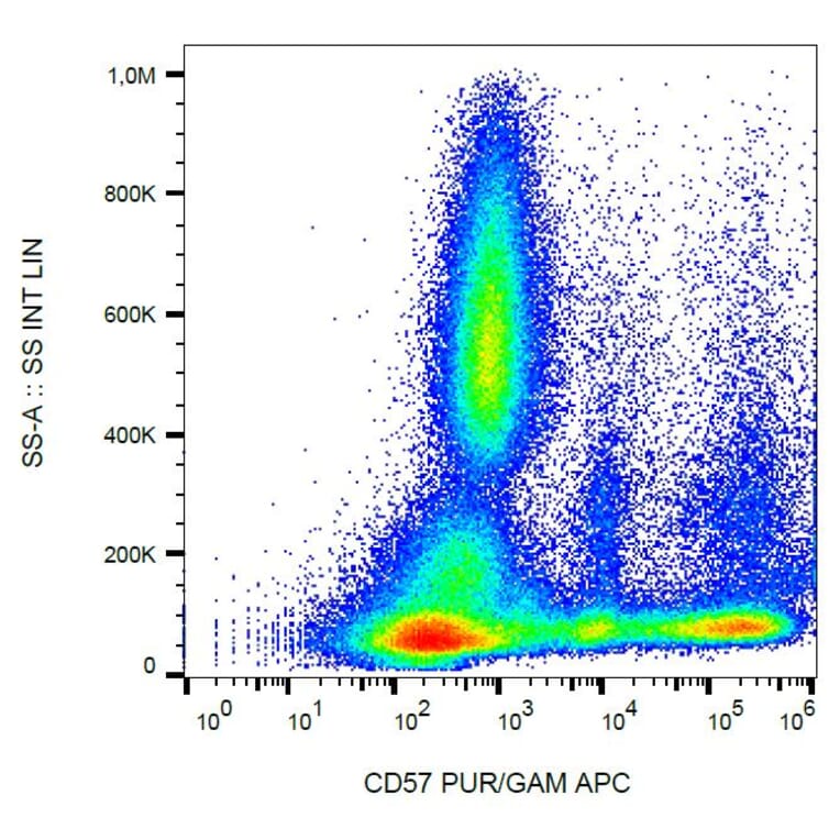 Flow Cytometry - Anti-CD57 Antibody [TB01] (A86857) - Antibodies.com