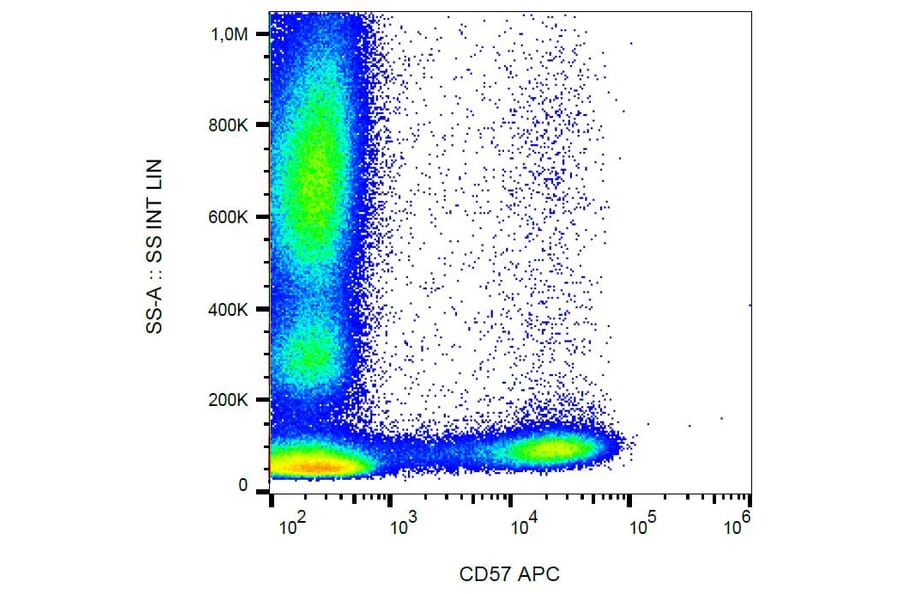 Flow Cytometry - Anti-CD57 Antibody [TB01] (APC) (A86859)