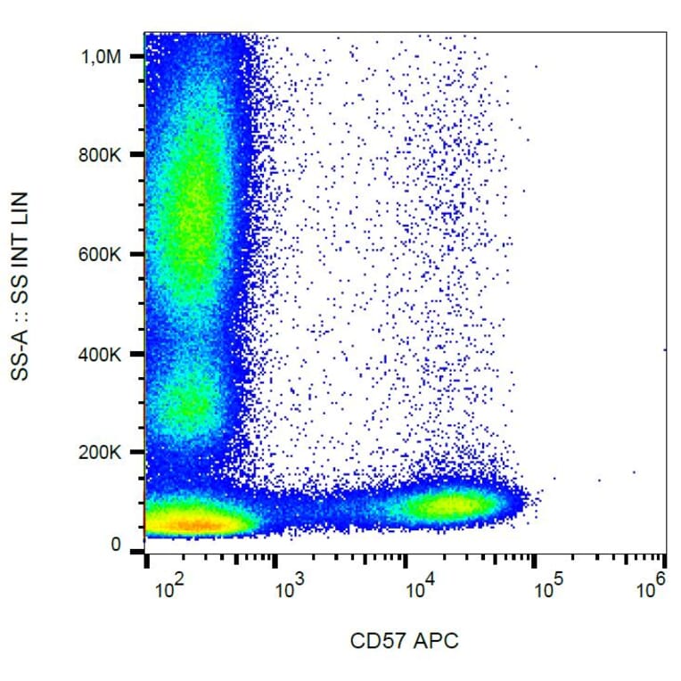 Flow Cytometry - Anti-CD57 Antibody [TB01] (APC) (A86859)