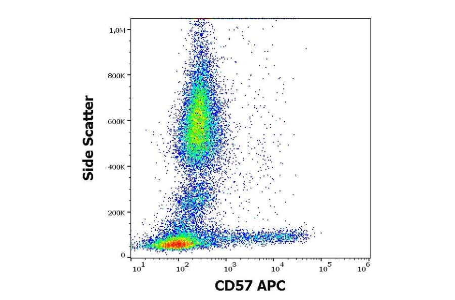 Flow Cytometry - Anti-CD57 Antibody [TB01] (APC) (A86859)