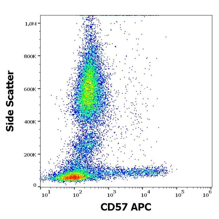 Flow Cytometry - Anti-CD57 Antibody [TB01] (APC) (A86859)