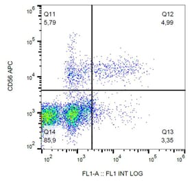 Flow Cytometry - Anti-CD57 Antibody [TB01] (FITC) (A86858) - Antibodies.com