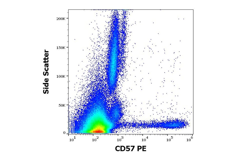 Flow Cytometry - Anti-CD57 Antibody [TB01] (PE) (A86861)