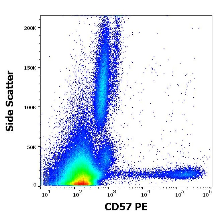 Flow Cytometry - Anti-CD57 Antibody [TB01] (PE) (A86861)