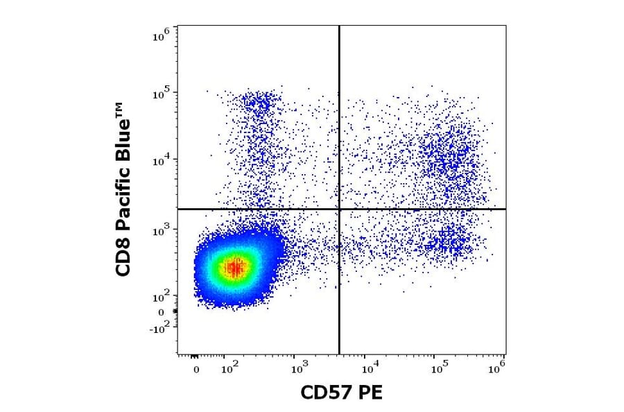 Flow Cytometry - Anti-CD57 Antibody [TB01] (PE) (A86861)
