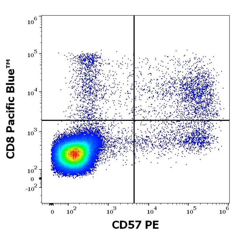 Flow Cytometry - Anti-CD57 Antibody [TB01] (PE) (A86861)