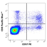 Flow Cytometry - Anti-CD57 Antibody [TB01] (PE) (A86861)