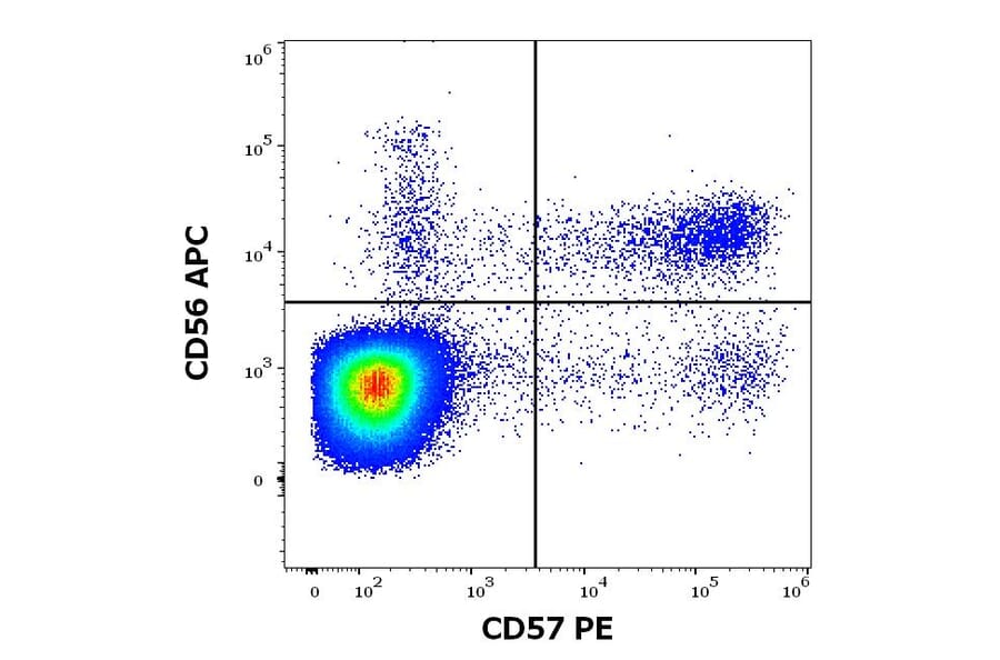 Flow Cytometry - Anti-CD57 Antibody [TB01] (PE) (A86861)