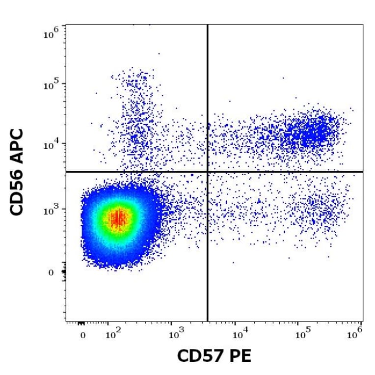 Flow Cytometry - Anti-CD57 Antibody [TB01] (PE) (A86861)