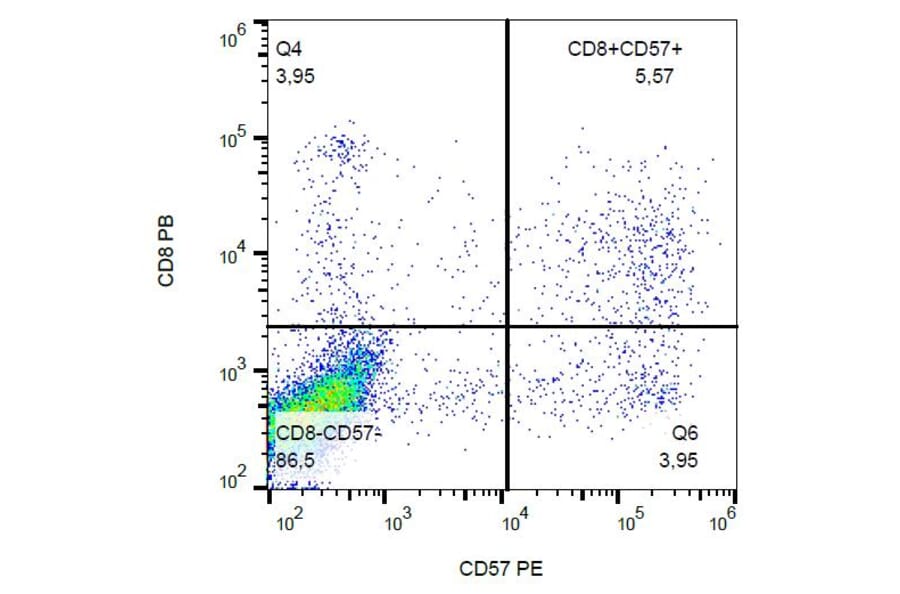 Flow Cytometry - Anti-CD57 Antibody [TB01] (PE) (A86860) - Antibodies.com