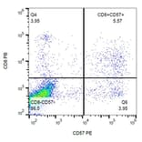 Flow Cytometry - Anti-CD57 Antibody [TB01] (PE) (A86860) - Antibodies.com