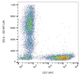 Flow Cytometry - Anti-CD7 Antibody [124-1D1] (APC) (A86862)
