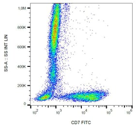 Flow Cytometry - Anti-CD7 Antibody [124-1D1] (FITC) (A86863)