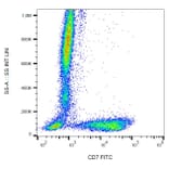Flow Cytometry - Anti-CD7 Antibody [124-1D1] (FITC) (A86863)