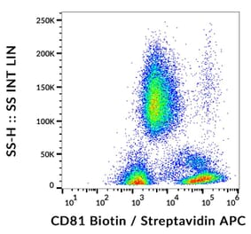 Flow Cytometry - Anti-CD81 Antibody [M38] (Biotin) (A86865)