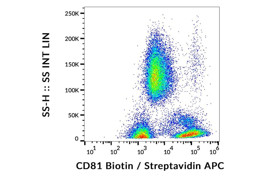 Flow Cytometry - Anti-CD81 Antibody [M38] (Biotin) (A86865)