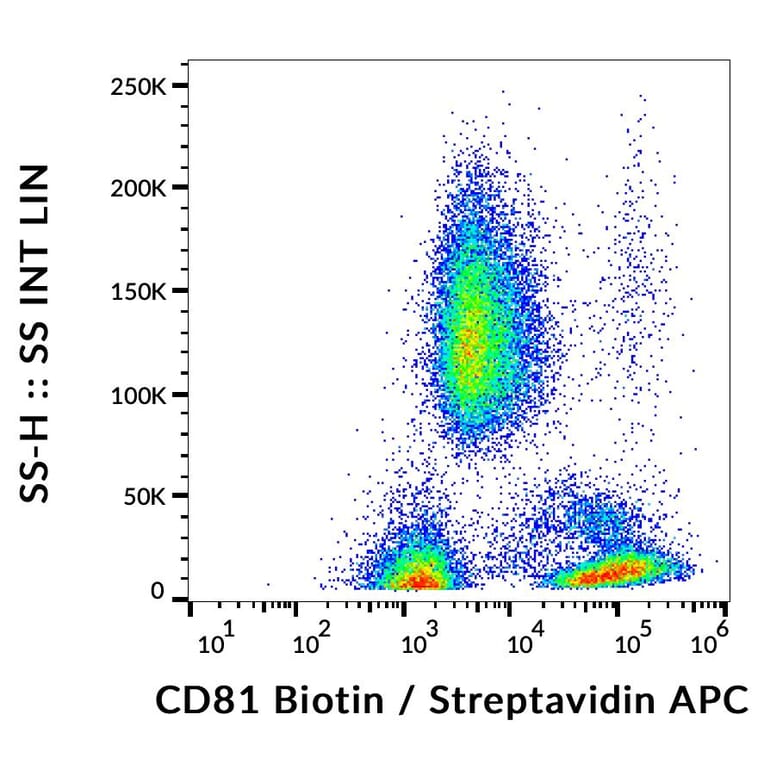 Flow Cytometry - Anti-CD81 Antibody [M38] (Biotin) (A86865)