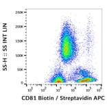 Flow Cytometry - Anti-CD81 Antibody [M38] (Biotin) (A86865)