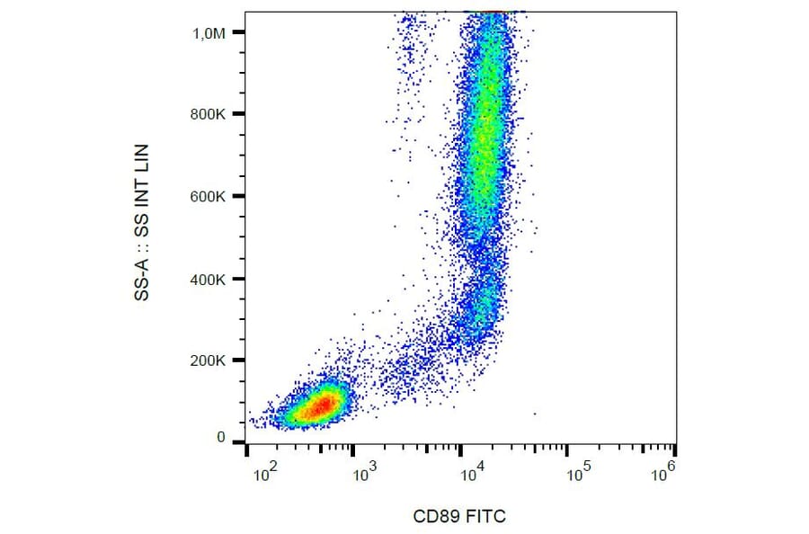 Flow Cytometry - Anti-CD89 Antibody [A59] (FITC) (A86868) - Antibodies.com