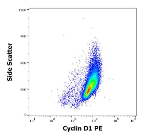 Flow Cytometry - Anti-Cyclin D1 Antibody [DCS-6] (PE) (A86872)